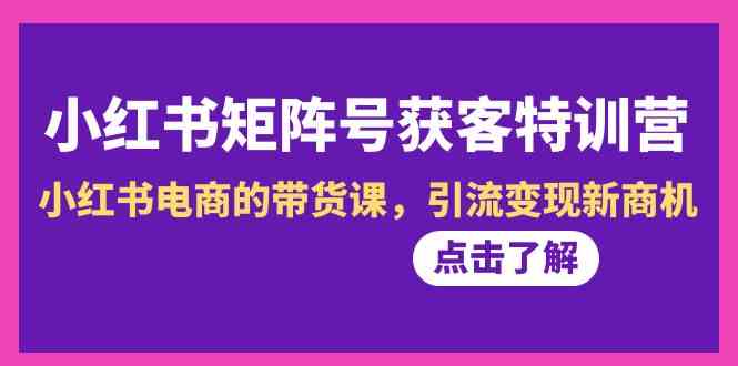 小红书矩阵号获客特训营-第10期，小红书电商的带货课，引流变现新商机-云网创资源站