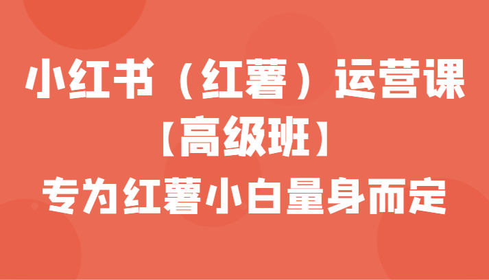 小红书（红薯）运营课【高级班】，专为红薯小白量身而定（42节课）-云网创资源站