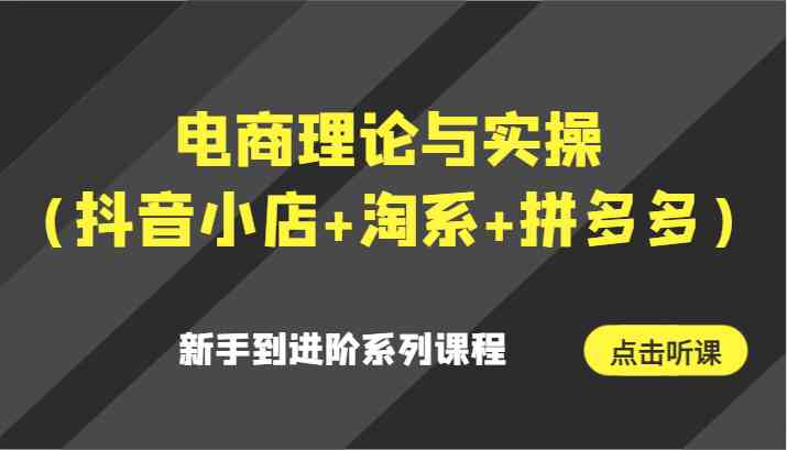 电商理论与实操（抖音小店+淘系+拼多多）新手到进阶系列课程-云网创资源站