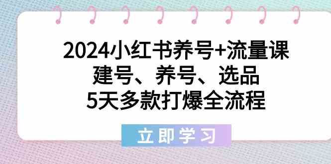 2024小红书养号+流量课：建号、养号、选品，5天多款打爆全流程-云网创资源站