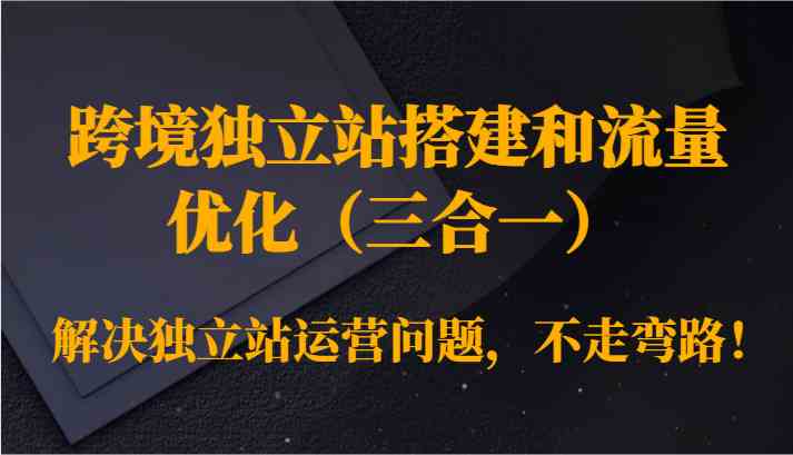 跨境独立站搭建和流量优化（三合一）解决独立站运营问题，不走弯路！-云网创资源站