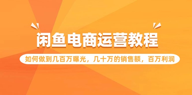 闲鱼电商运营教程：如何做到几百万曝光，几十万的销售额，百万利润-云网创资源站