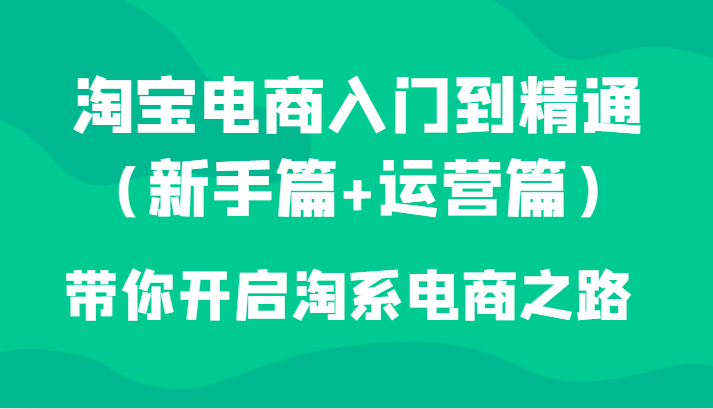 淘宝电商入门到精通（新手篇+运营篇）带你开启淘系电商之路-云网创资源站