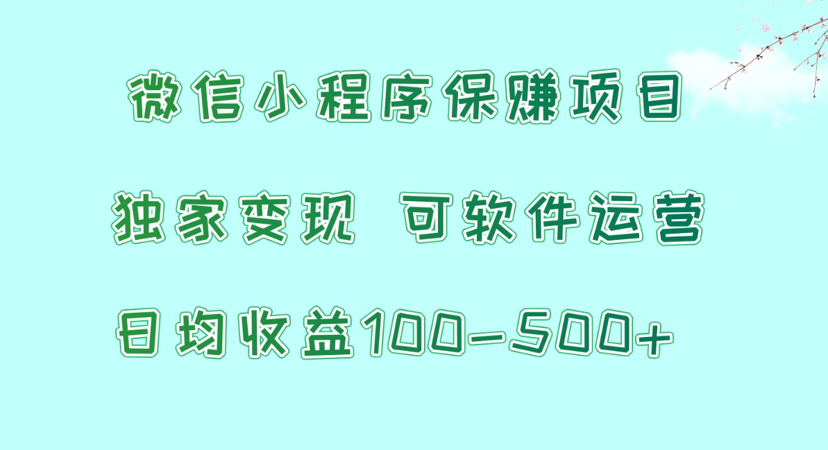 微信小程序保赚项目，日均收益100~500+，独家变现，可软件运营-云网创资源站