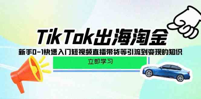 TikTok出海淘金，新手0-1快速入门短视频直播带货等引流到变现的知识-云网创资源站