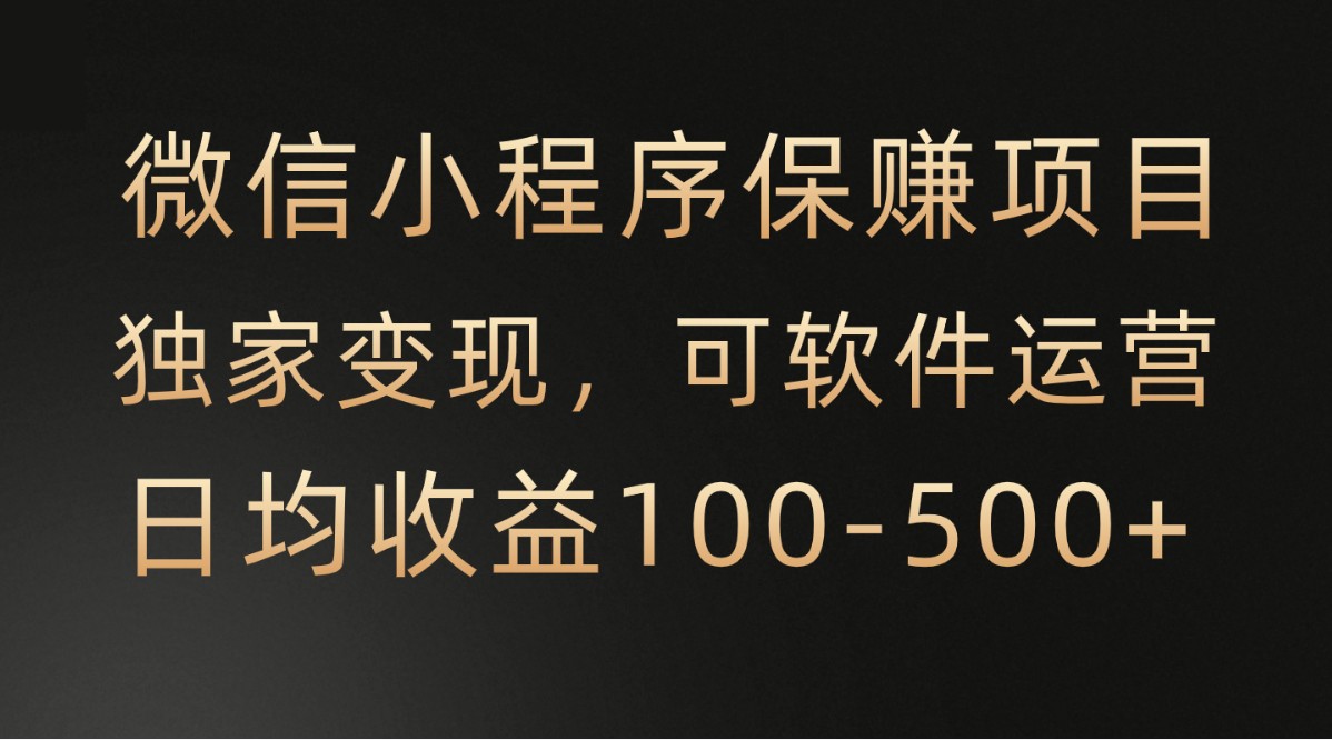 微信小程序，腾讯保赚项目，可软件自动运营，日均100-500+收益有保障-云网创资源站