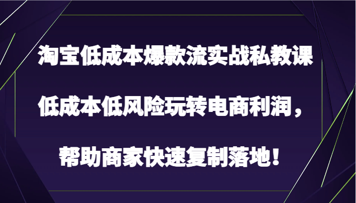 淘宝低成本爆款流实战私教课，低成本低风险玩转电商利润，帮助商家快速复制落地！-云网创资源站