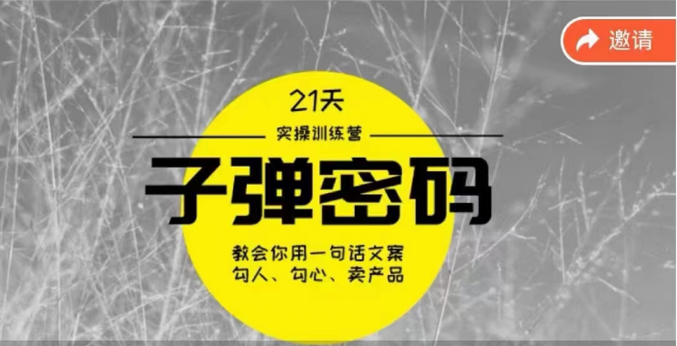 《子弹密码训练营》用一句话文案撩人勾心推销产品，21天学习到顶尖文案高手方案和方法-云网创资源站