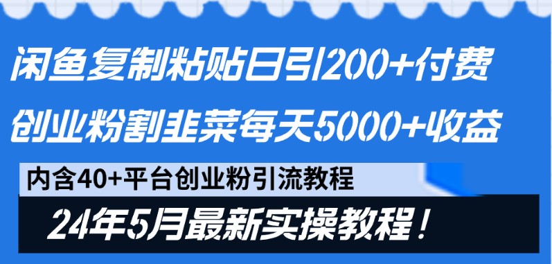 闲鱼平台拷贝日引200 付钱自主创业粉，24年5月全新方式！当韭菜割日平稳5000 盈利-云网创资源站