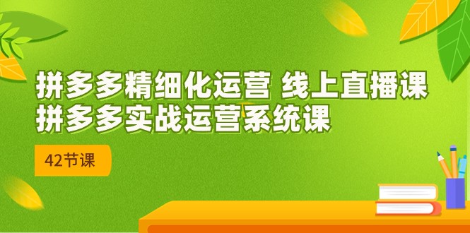 拼多多精细化运营 线上直播课：拼多多实战运营系统课（更新47节）-云网创资源站