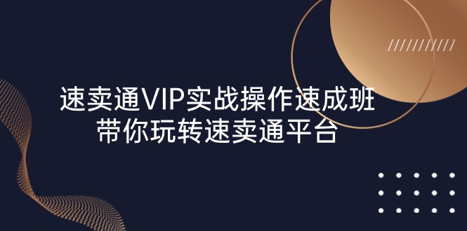 速卖通 VIP实战操作-速成班，带你玩转速卖通平台（23节）-云网创资源站