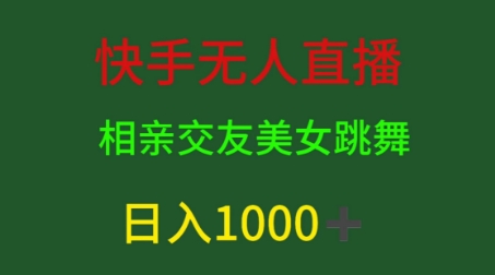 快手视频无人直播，单身交友，粉丝转现，日入1k-云网创资源站