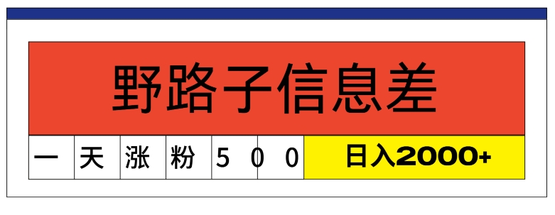 全新《1000个野路子信息差》新模式，字幕视频，单独著作暴粉5000 ，新手快速上手-云网创资源站