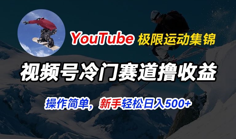 微信视频号小众跑道撸盈利，YouTube运送滑雪运动合集，暴力行为养号，使用方便总流量高，轻轻松松日入5张【揭密】-云网创资源站