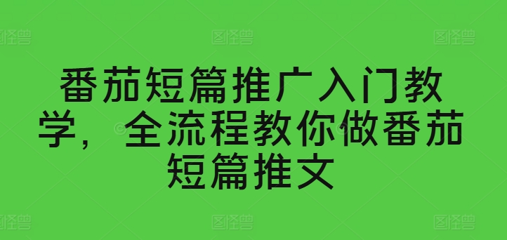 西红柿短篇小说营销推广新手入门课堂教学，全过程手把手带你西红柿短篇小说文章-云网创资源站