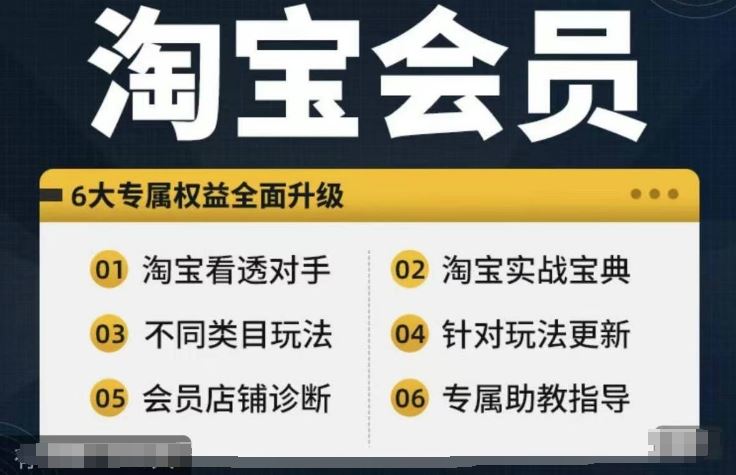 淘宝会员【淘宝所有课程，全面分析对手】，初级到高手全系实战宝典-云网创资源站