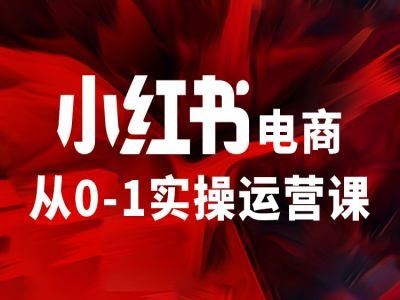 小红书电商从0-1实操运营课，让你从小白到精英-云网创资源站