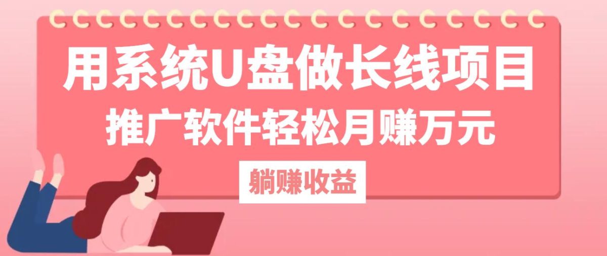 用系统U盘做长线项目，推广软件轻松月赚万元-云网创资源站