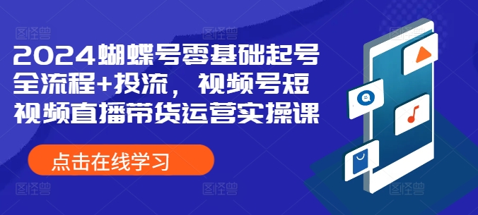 2024彩蝶号零基础养号全过程 投流，微信视频号短视频带货带货运营实操课-云网创资源站