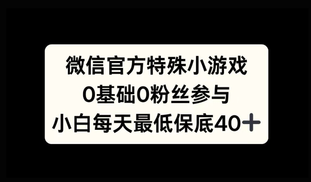 微信特殊游戏，0前提0粉丝们，新手入门每日至少最低40-云网创资源站