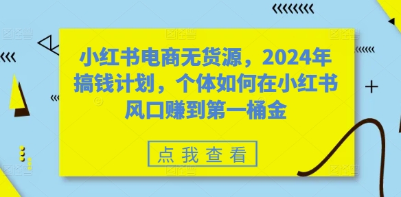 小红书电商无货源，2024年搞钱计划，个体如何在小红书风口赚到第一桶金-云网创资源站