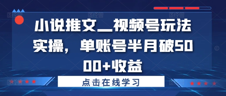 小说推文—视频号玩法实操，单账号半月破5000+收益-云网创资源站