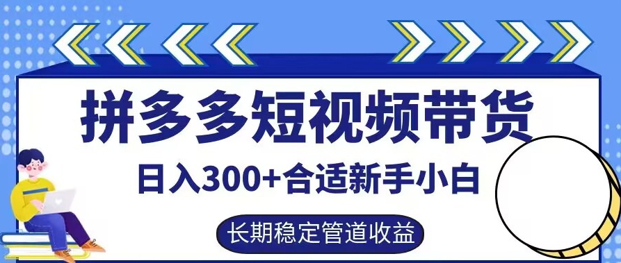 拼多多短视频带货日入300+有长期稳定被动收益，合适新手小白【揭秘】-云网创资源站