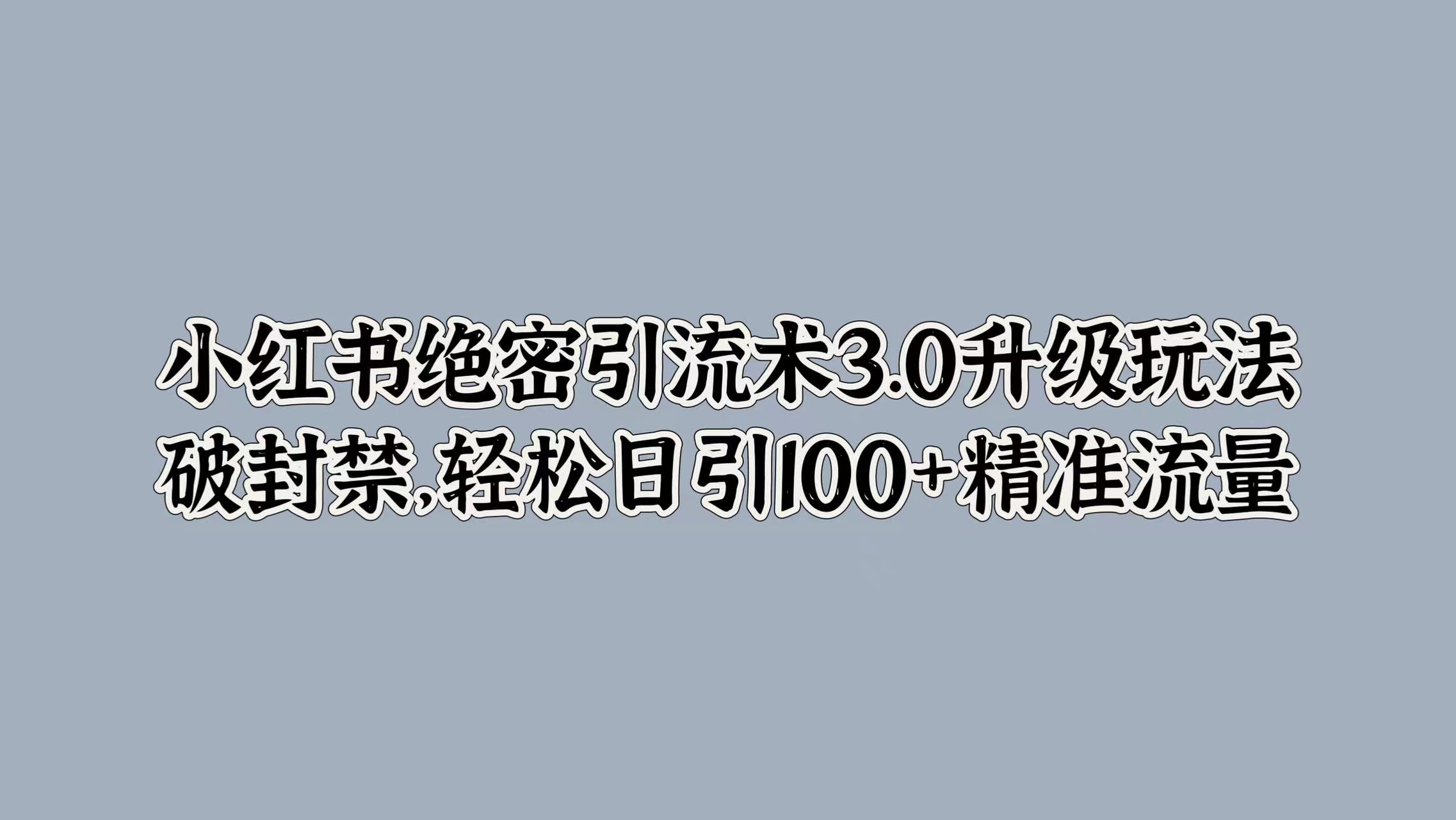 小红书绝密引流术3.0升级玩法，破封禁，轻松日引100+精准流量-云网创资源站