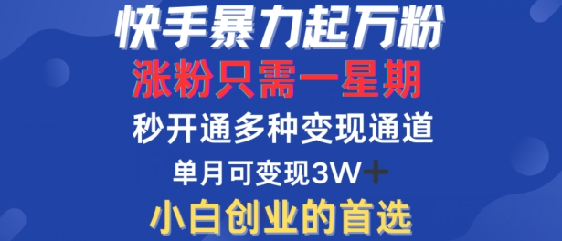 快手暴力起万粉，涨粉只需一星期，多种变现模式，直接秒开万合，单月变现过W【揭秘】-云网创资源站