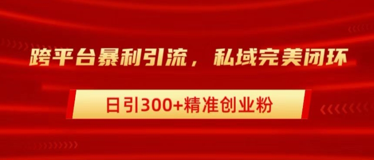 跨平台暴力引流，私域完美闭环，日引100+精准创业粉-云网创资源站