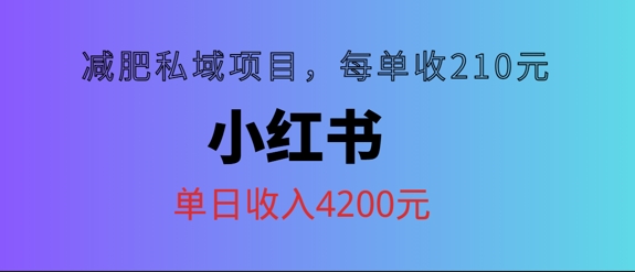 小红书减肥私域项目，每单210元，单日可卖出15单，利润3150-云网创资源站