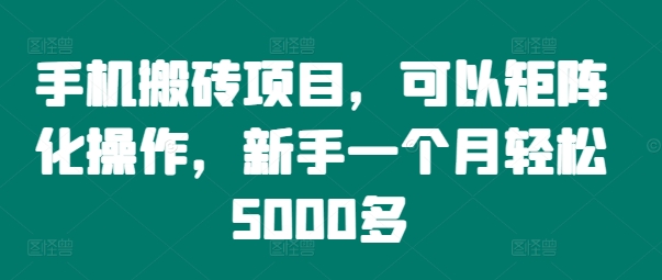 手机搬砖项目，可以矩阵化操作，新手一个月轻松5000多-云网创资源站