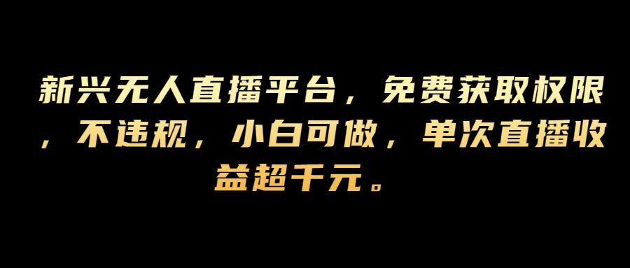 新兴无人直播平台，免费获取权限，不违规，小白可做，单次直播收益超千元-云网创资源站