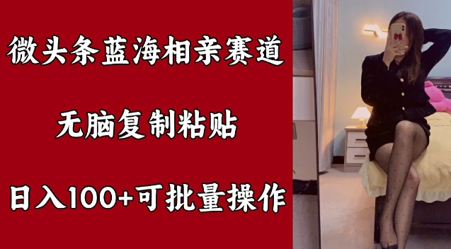 头条瀚海相亲约会跑道，没脑子拷贝，日入100 ，可批量处理-云网创资源站