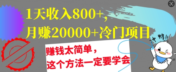 1天收益8张，月赚2w 蓝海项目，挣钱太简单了，用这种方法一定要学会【干货知识】-云网创资源站