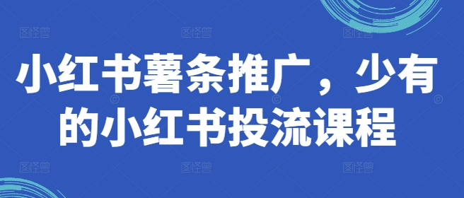 小红书的炸薯条营销推广，难得少有的小红书投流课程内容-云网创资源站