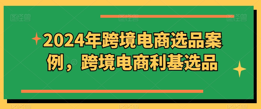 2024年跨境电商选品实例，跨境电子商务冷门选款（升级）-云网创资源站