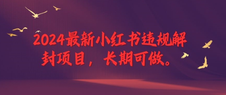 2024全新小红书违规解除限制新项目，长期性能做，一个能做到退休新项目【揭密】-云网创资源站