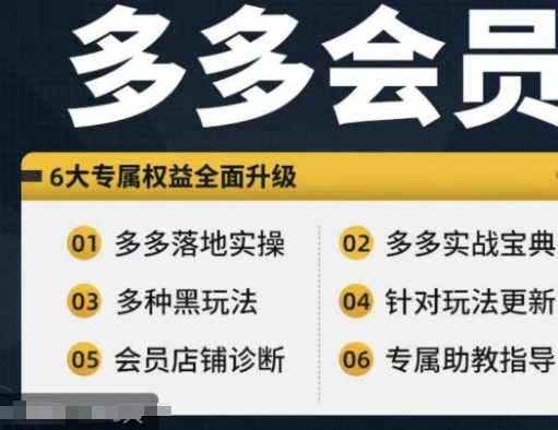 拼多多会员，拼多多平台实战演练秘笈 实战演练落地式实际操作，从初学者到高级具体内容全覆盖-云网创资源站