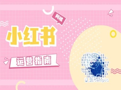 小红书运营手册，无套路，都是工作经验-云网创资源站