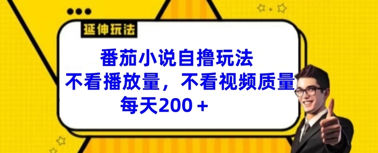 番茄小说自撸游戏玩法，不要看播放率，不要看视频清晰度，每日200 【揭密】-云网创资源站