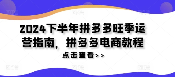 2024后半年拼多多平台高峰期运营指南，拼多多电商实例教程-云网创资源站