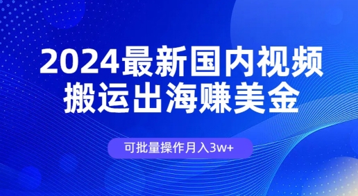 2024全新中国视频搬运出航赚美金，可批量处理月入3w-云网创资源站