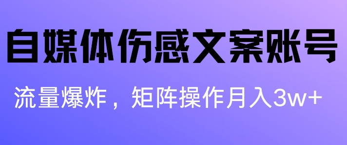 自媒体平台伤感文案账户，制作简单，总流量发生爆炸账户非常容易拷贝，引流矩阵月入1W-云网创资源站