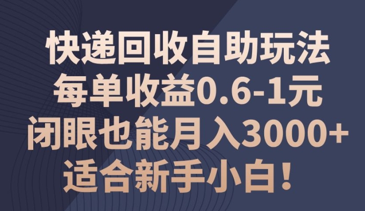 快递回收自助式游戏玩法，每一单盈利0.6-1元，闭上眼也可以月入3000 !适宜新手入门!-云网创资源站