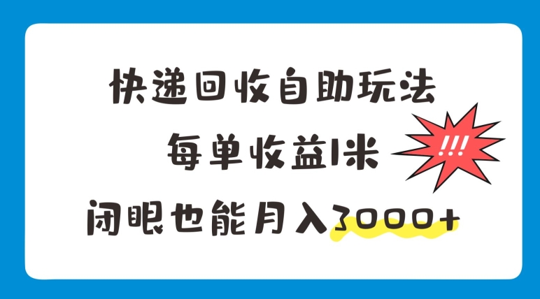 快递回收自助式游戏玩法，每一单盈利1米，闭上眼也可以月入3000-云网创资源站