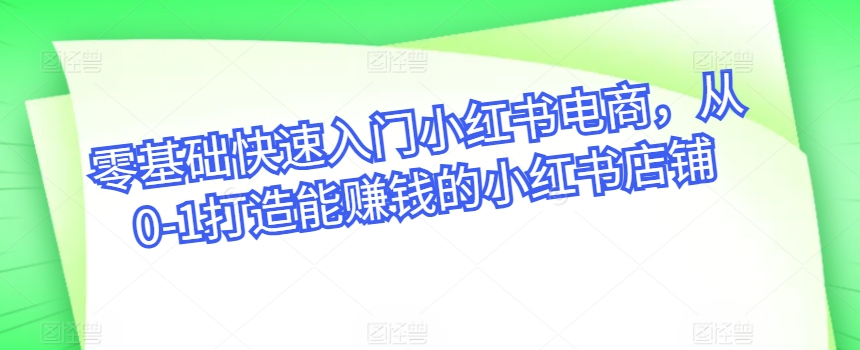 零基础快速入门小红书电商，从0-1打造能赚钱的小红书店铺-云网创资源站