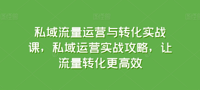 私域流量运营与转化实战课，私域运营实战攻略，让流量转化更高效-云网创资源站