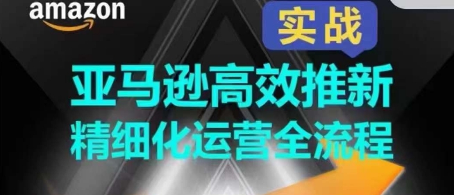 亚马逊平台高效率上新精细化营销全过程，多方位、快速拉升商品排行和销量!-云网创资源站