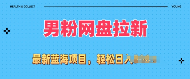 各大网站全新粉丝新项目，百度云盘拉新模式，新手也可以上手操作-云网创资源站